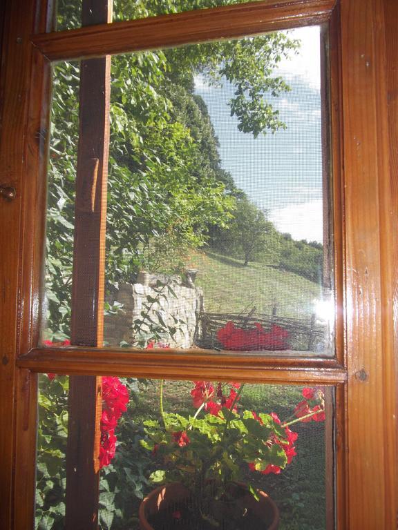Tulipanos Vendeghaz Apartment Obanya Luaran gambar