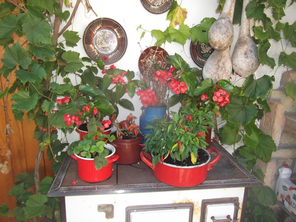 Tulipanos Vendeghaz Apartment Obanya Luaran gambar